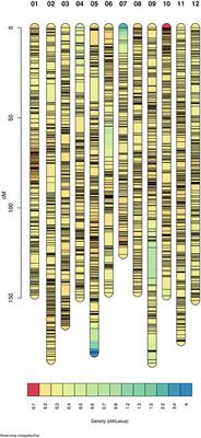 High-Resolution Linkage Map and QTL Analyses of Fruit Firmness in Autotetraploid Blueberry